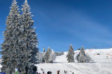 Schwarzwald im Winter